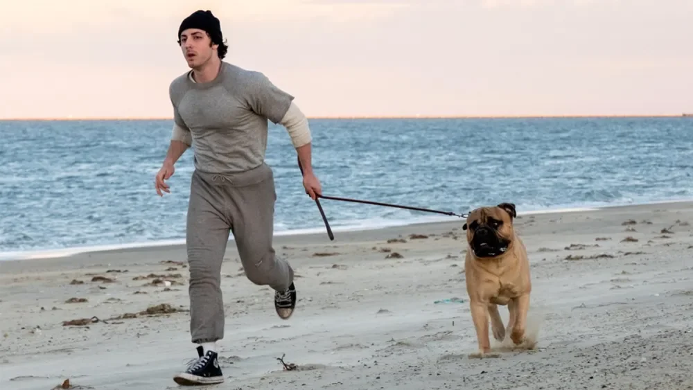 Farrelly’s Stallone Biopic I Play Rocky Debuts to TIFF Buzz