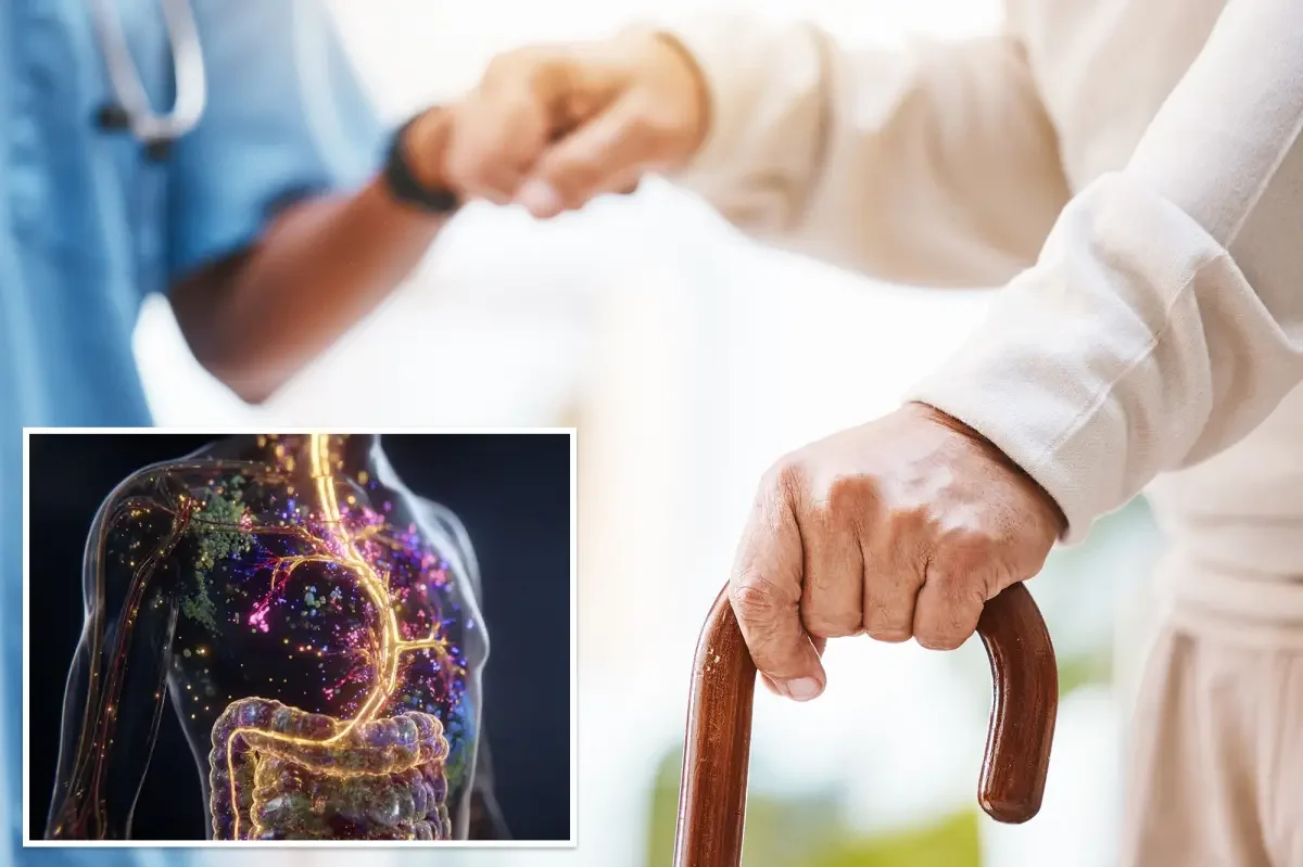 Gut signals could flag Parkinson's risk years before symptoms