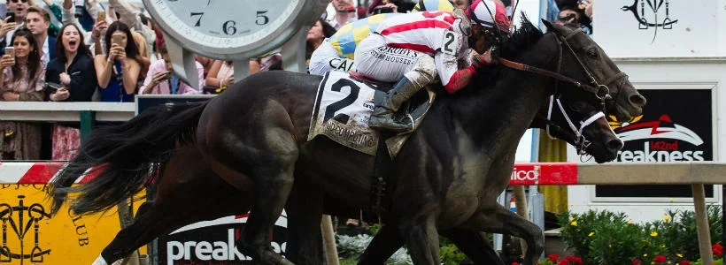 Longshot Focus: The Hell We Did Drives 2026 Preakness Preview
