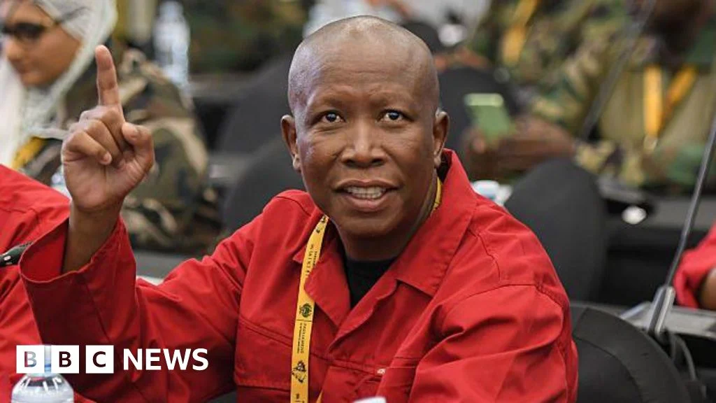 Malema's five-year sentence tests the EFF's election prospects