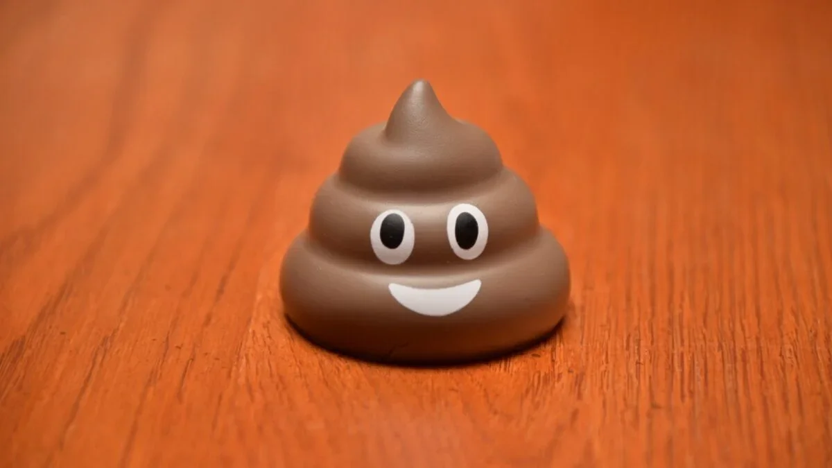 Lugworm Poop Maps Gravity-Driven Elastic Coiling, Science Confirms Emoji Shape