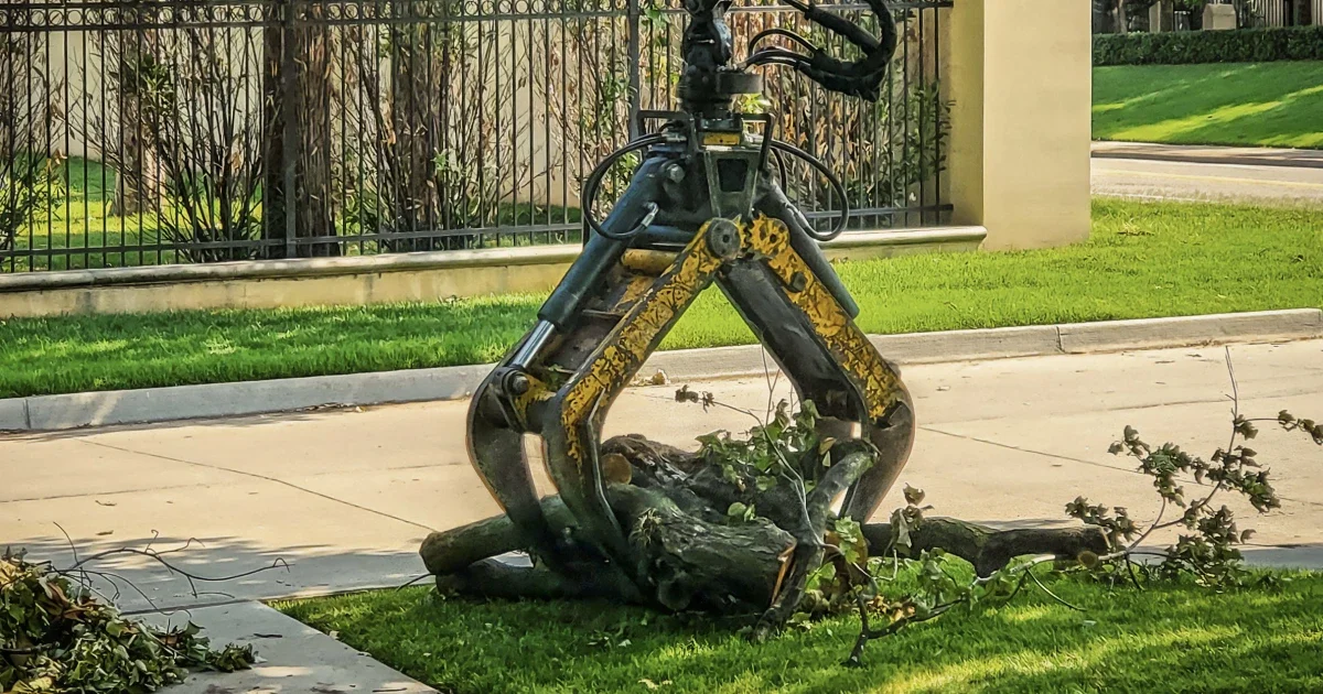 Prank on Minnesota tree crew ends in death as hydraulic grapple crushes coworker