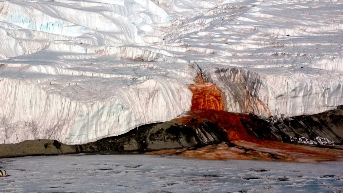 Antarctica’s Blood Falls: Red Brine, Hidden Channels and a Microbial World