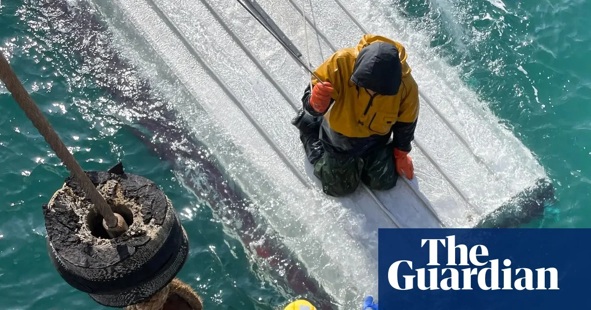 Teen Survives Days on Capsized Boat in Icy Bering Sea as Two Brothers Die