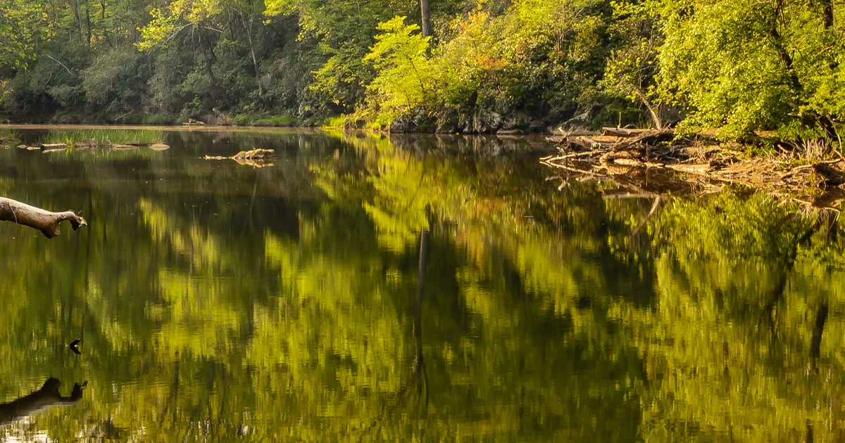 North Carolina Teen in Critical Condition from Rare Brain-Eating Amoeba