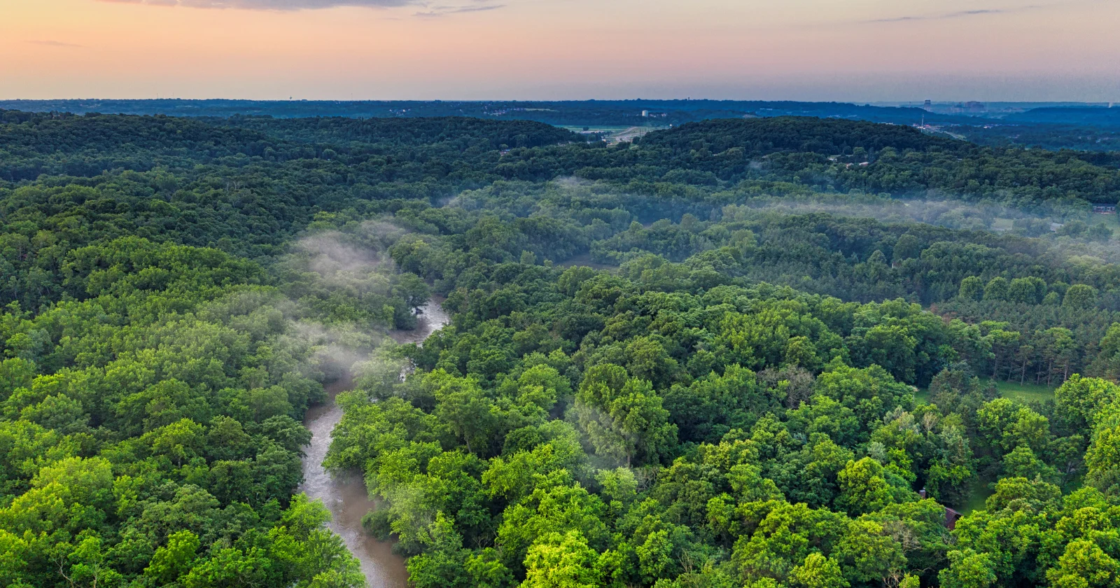 Sahara’s Dust Fuels the Amazon’s Phosphorus Budget Across Oceans