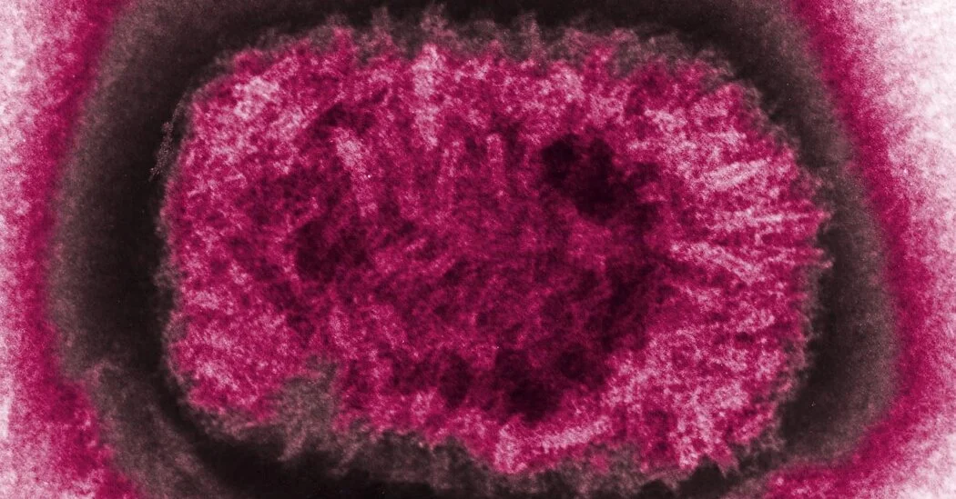 Ancient Smallpox Genomes Hint at Less Deadly Strains in 16th-Century Chile