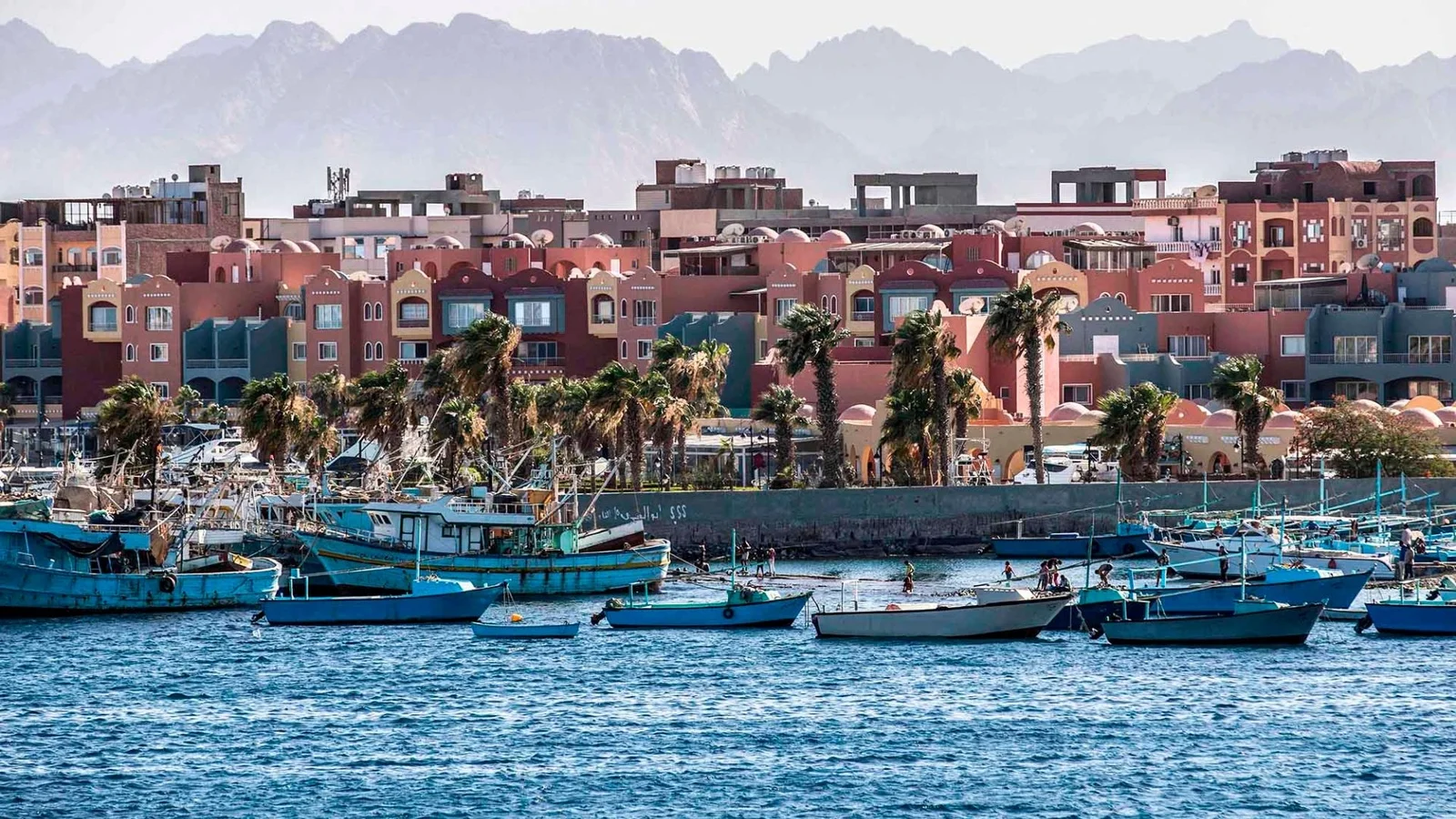 German Tourist Dies After Snake Bite at Hurghada Hotel Show