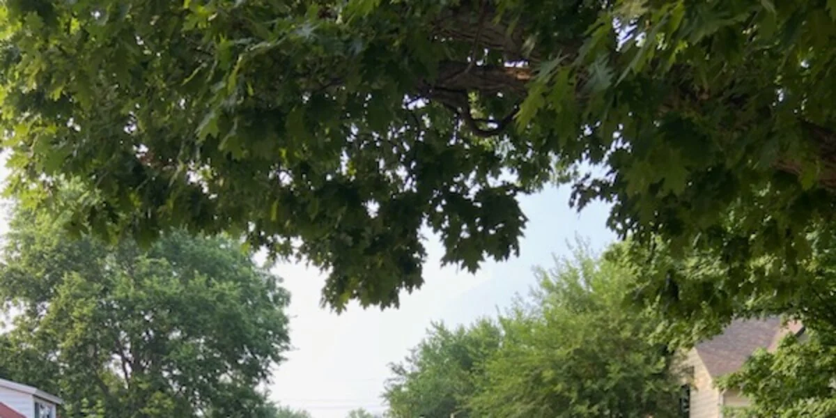 Weekend Violence Leaves Multiple Victims in Rockford