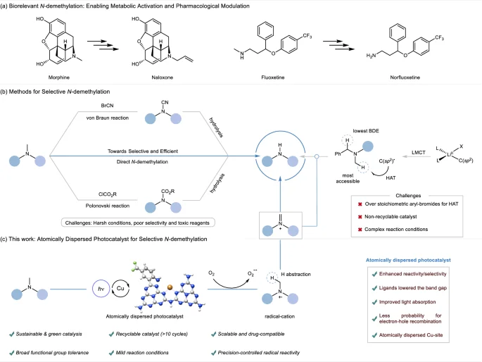 Single-Atom Copper Catalyst Enables Reusable, Light-Driven N-Demethylation