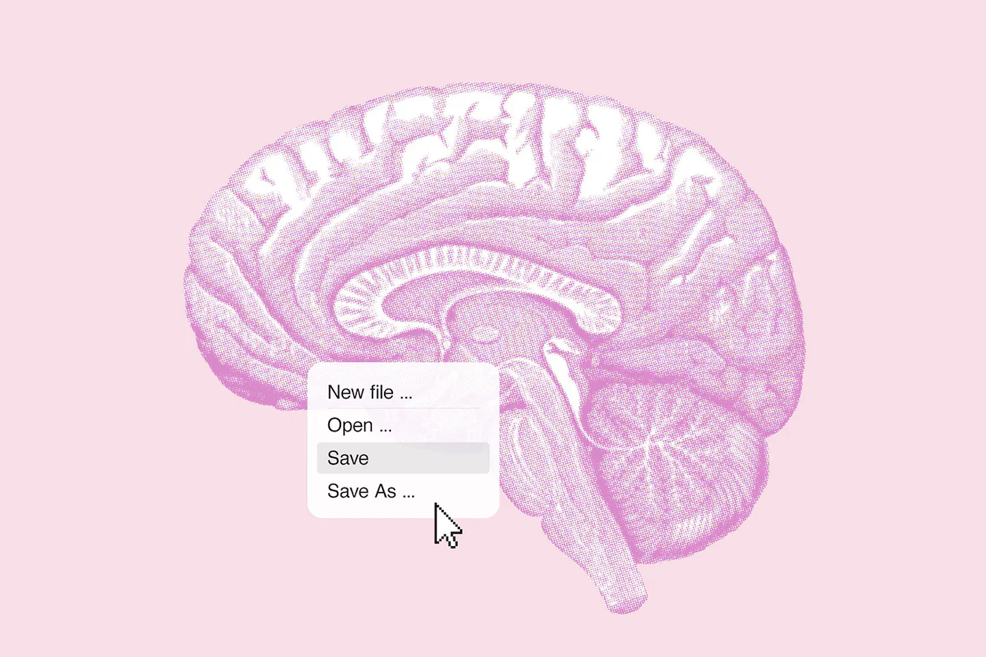 Midlife habits that could shape your brain’s future health