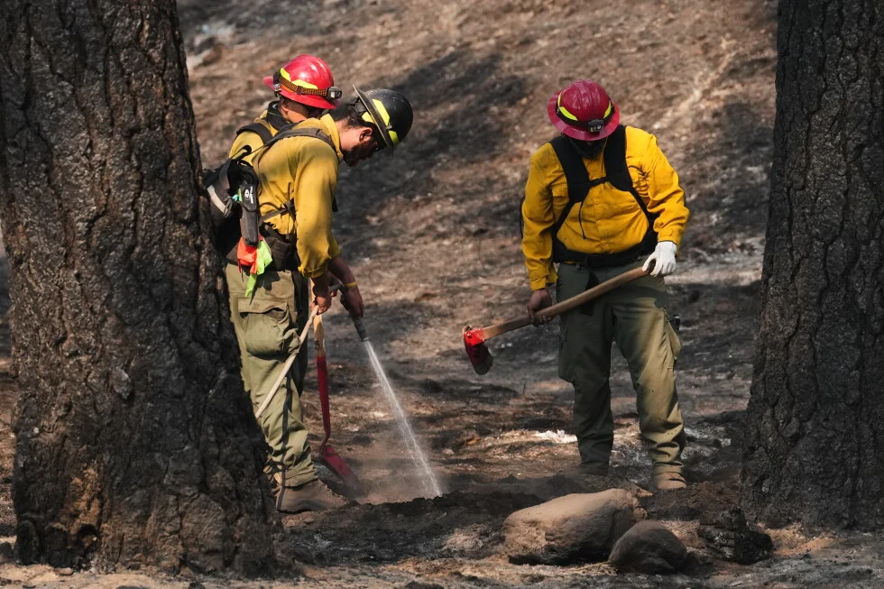 Glutathione hype for wildfire smoke under scientific scrutiny