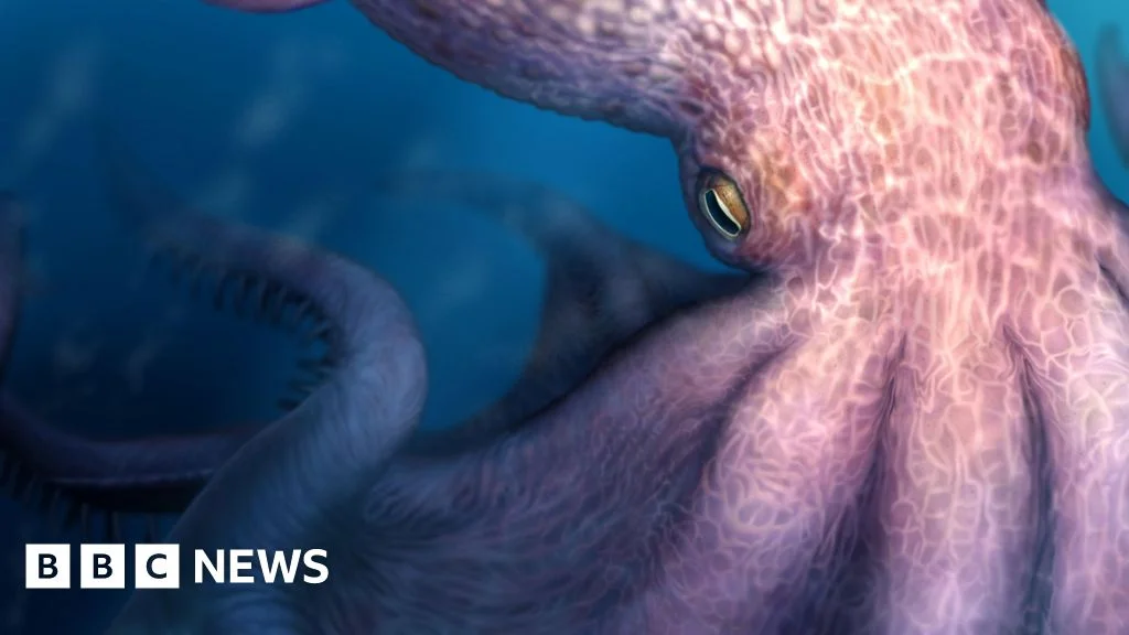 Ancient sea giant: a 19-metre octopus haunted the prehistoric oceans
