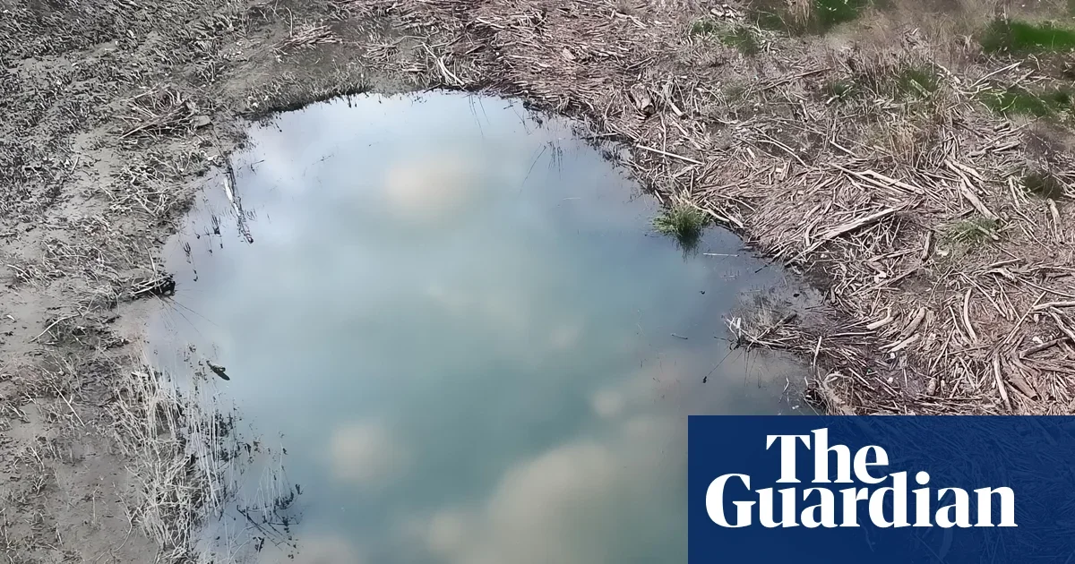 Miracle in the Mud: Two ATV Riders Rescue Woman Trapped in Minnesota Pit