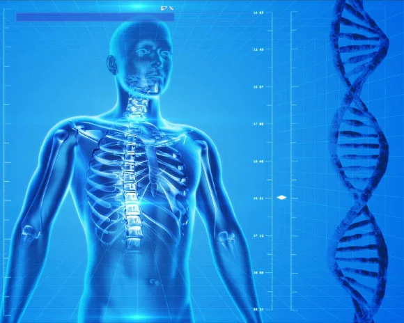 Million-Person Study Maps Genetic Footprint of Personality