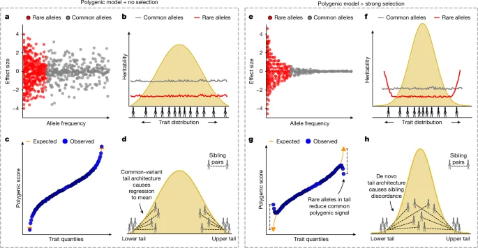 Tail-specific genetics: rare variants sculpt trait extremes under selection