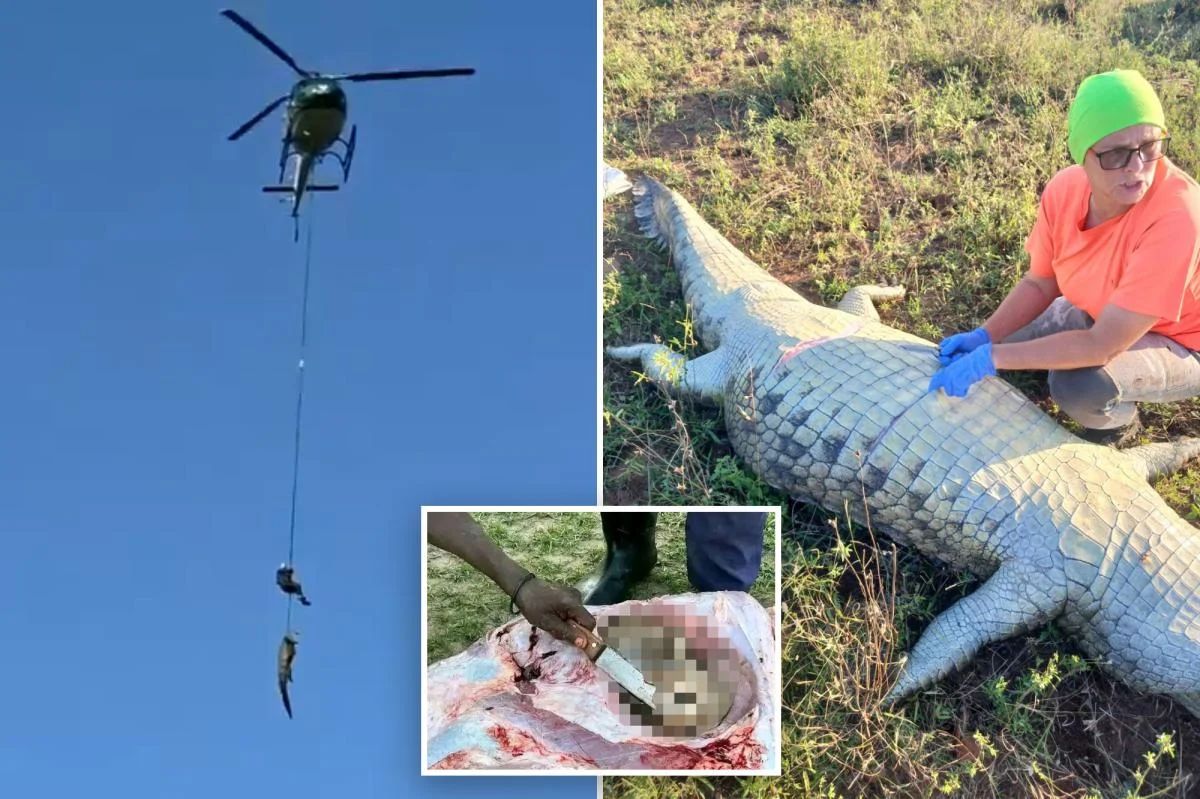 Remains found in 15-foot river croc after hunt for SA hotelier
