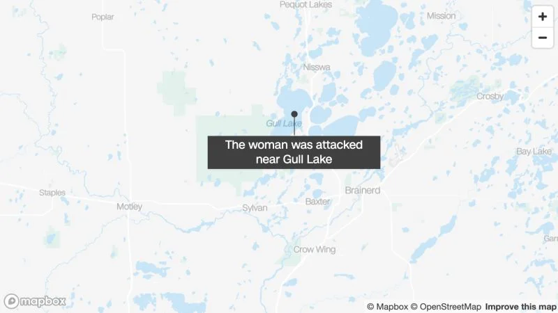 Black bear mauls woman in central Minnesota