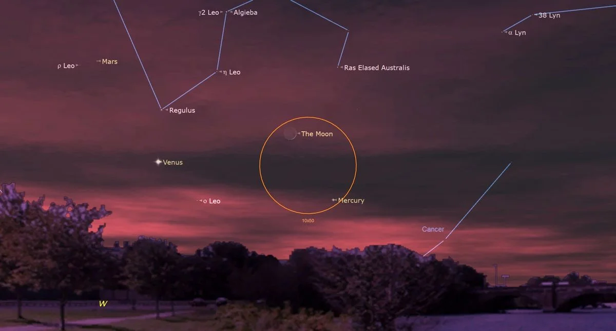 Stargazers' Guide: Spot Mars, Venus, Mercury, Crescent Moon, and Perseids Tonight