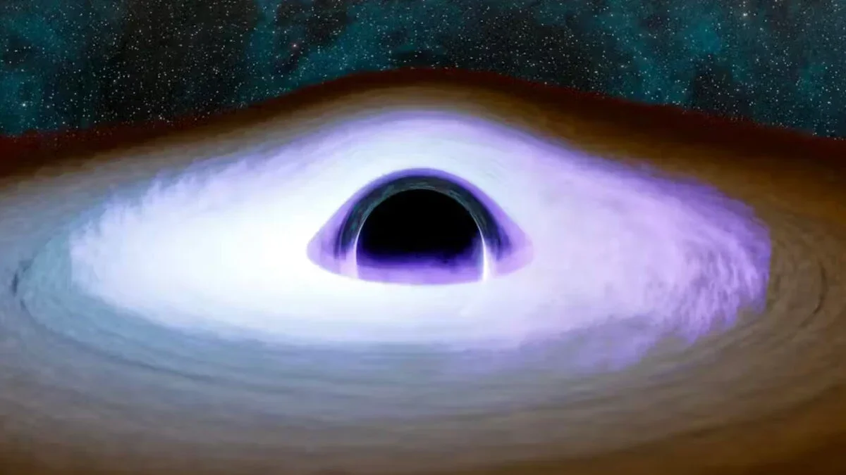 Relic Black Holes Could Trace a Pre‑Big‑Bang Cosmos