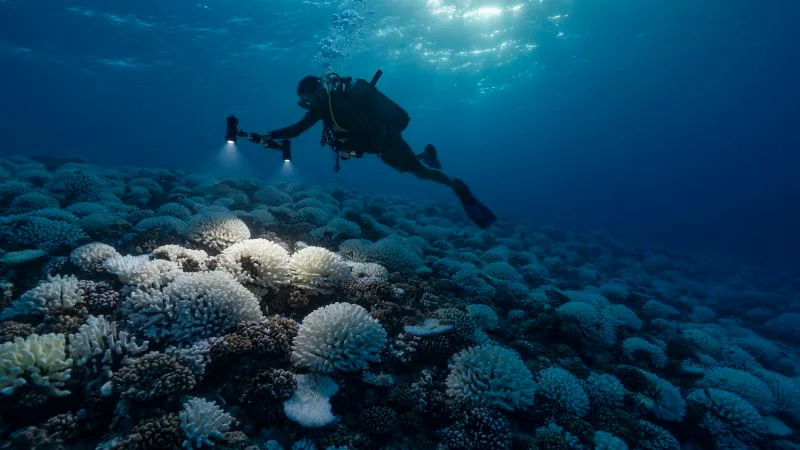 Record High Ocean Temperatures and 6 Things to Watch for During El Niño.