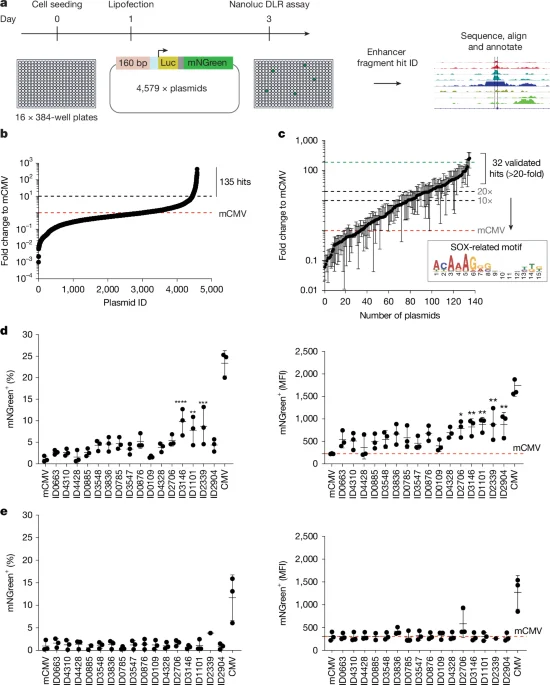 Engineered super-enhancers enable targeted viral immunotherapy in glioblastoma