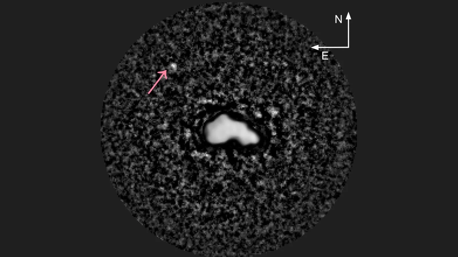 44 Nysa Revealed: the first triple‑lobed belt asteroid with a moon