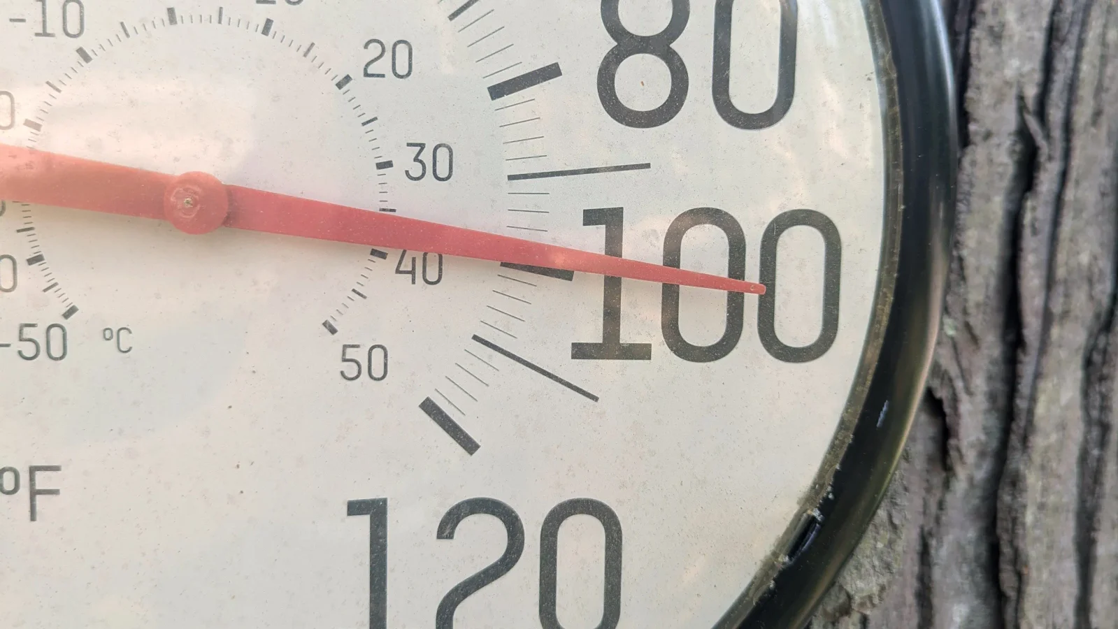 Heat Wave Across the U.S. Kills Dozens, with New Jersey at 25 Fatalities