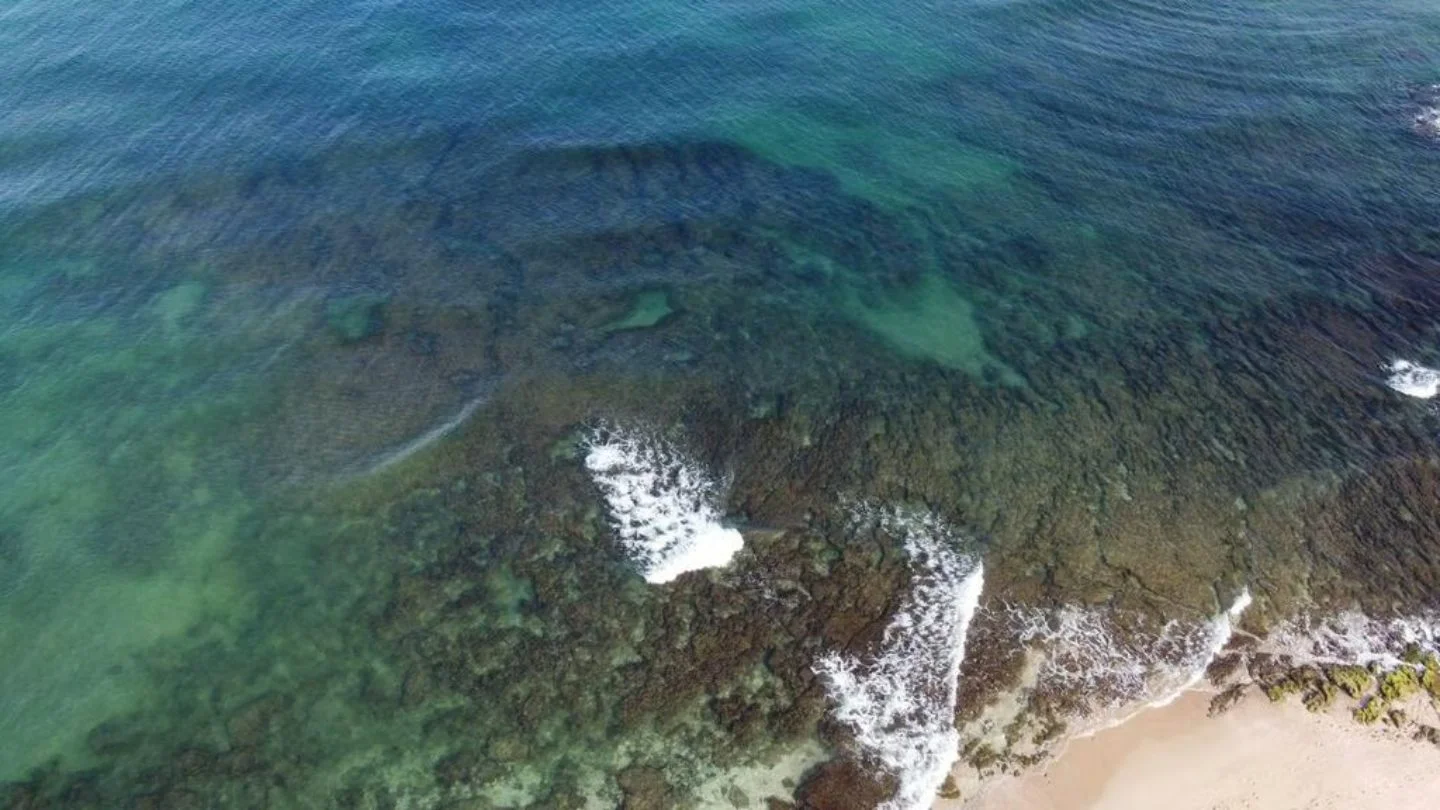 Gaza sewage suspected in rare algae bloom that knocks out Israeli desalination plants