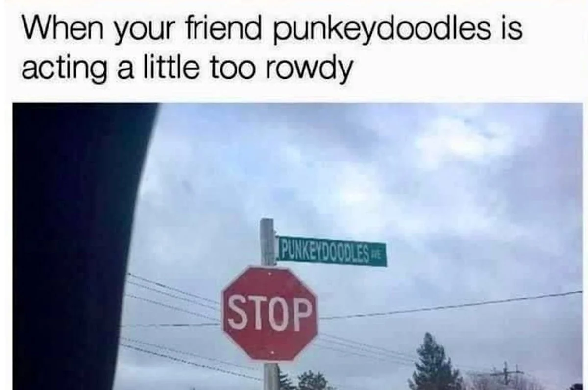 Clean Memes for All: 24 Hilarious, Family‑Friendly Picks