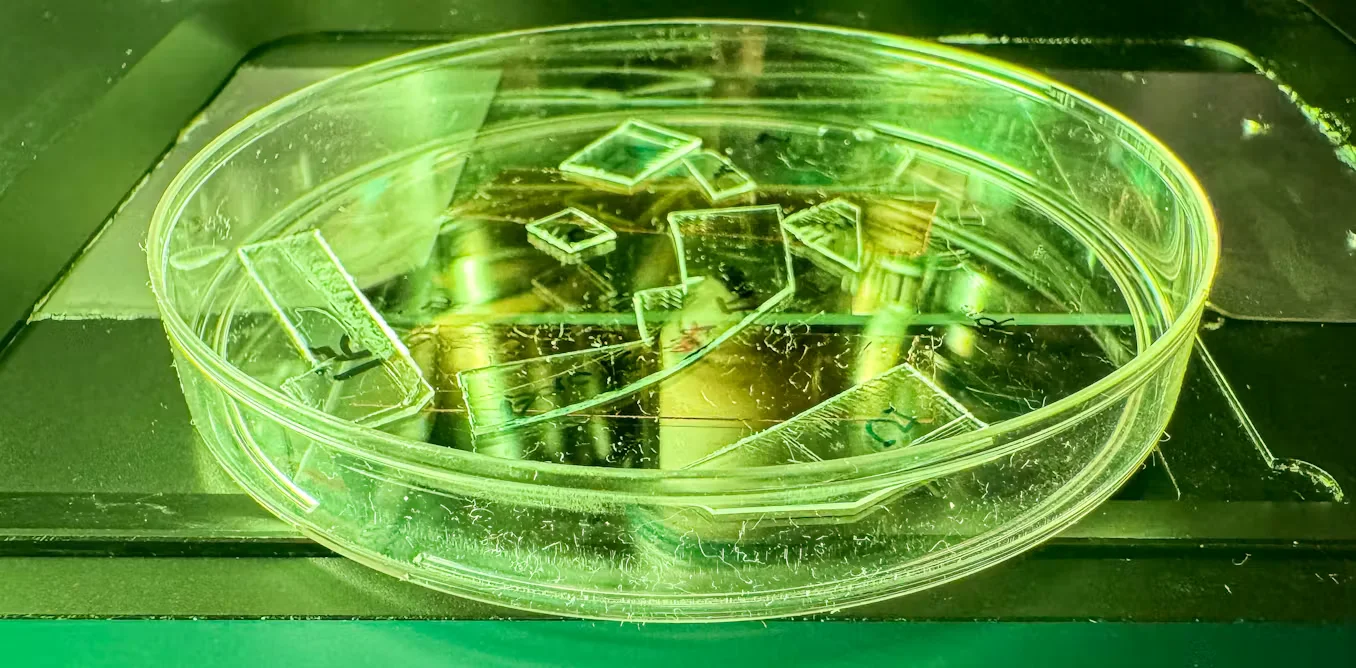 Flexible nanopillar film ruptures viruses on contact