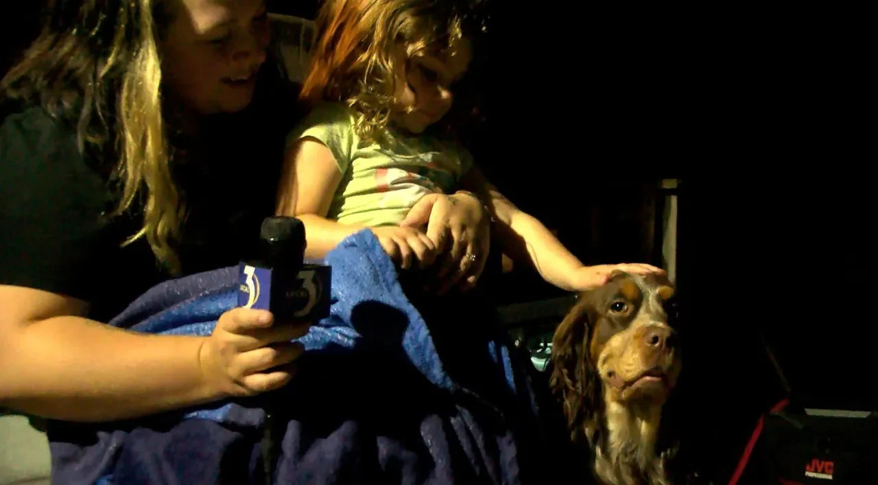 Toddler Found Safe Asleep on Dog Miles from Home