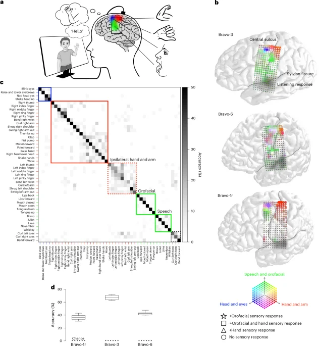 One implant enables parallel decoding of speech and gestures for natural multimodal communication in paralysis
