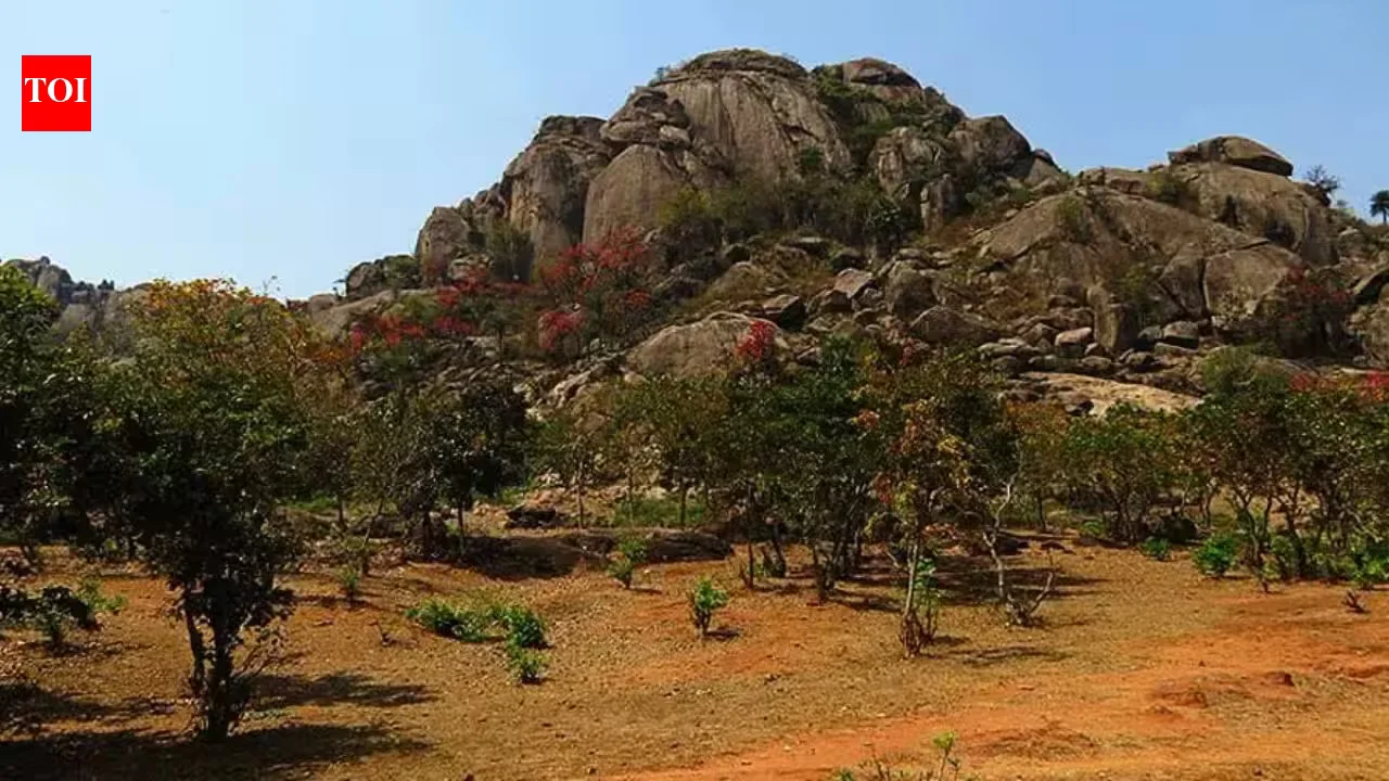 India Uncovers Earth’s Oldest Biosignature in a 3.497-Billion-Year Rock