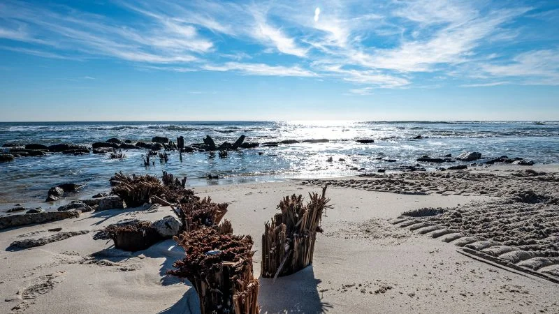 Shark Sightings Ahead of Memorial Day in NY, NJ, and Dunedin Causeway
