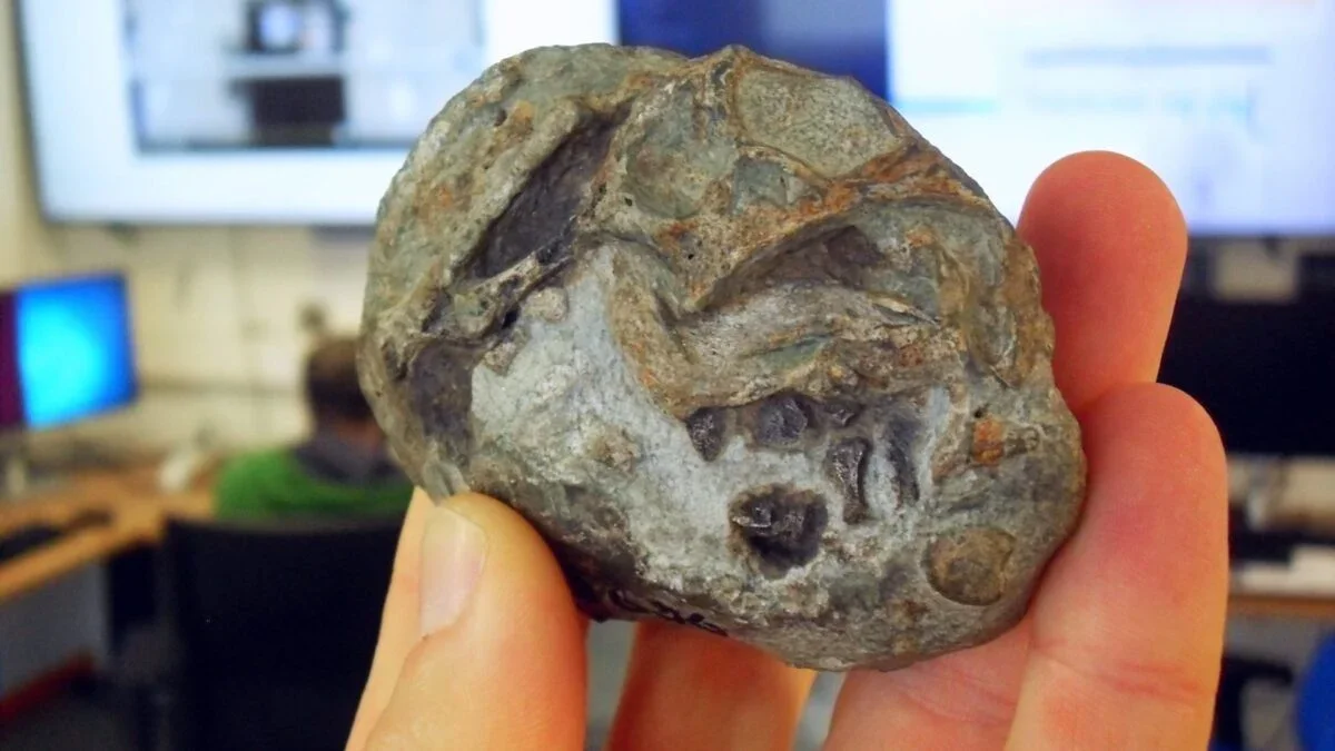Giant eggs helped early mammal ancestors weather the Great Dying