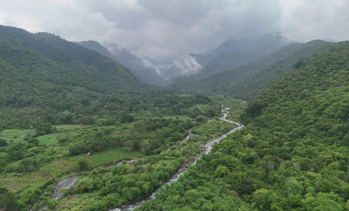 Yangtze River Fossil Bridges 160-Million-Year Gap in Early Animal History