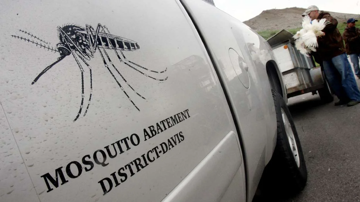Davis County Mosquitoes Test Positive for West Nile Virus