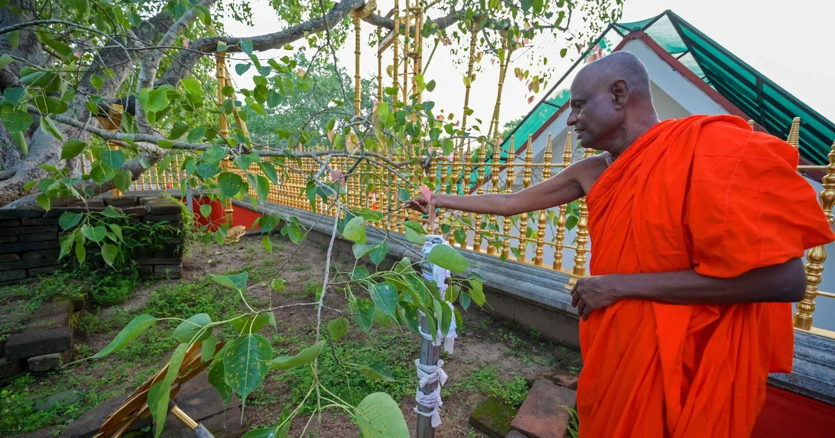 Sri Lanka’s Senior Monk Arrested in Underage Abuse Probe