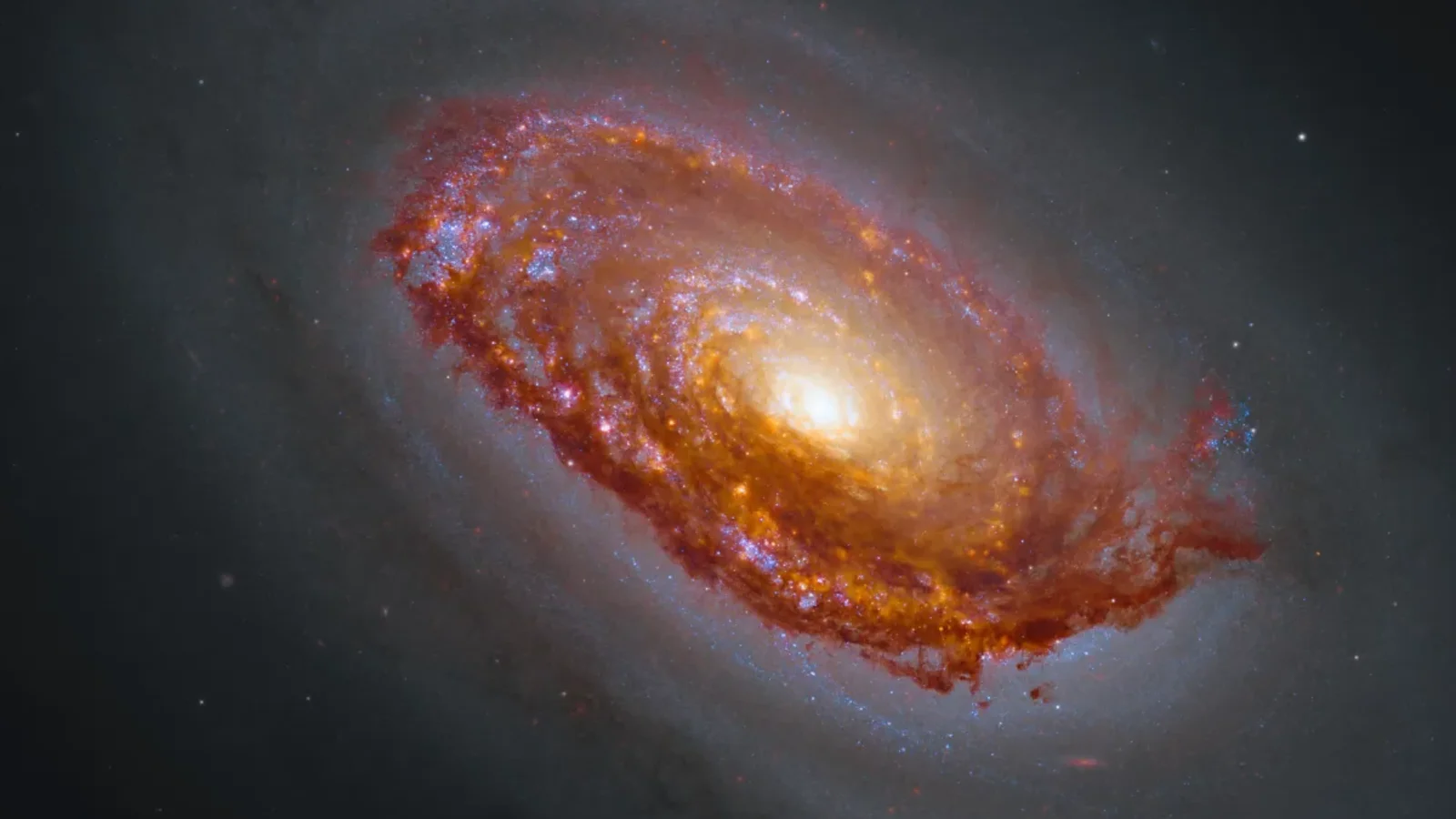 Hubble and JWST Unite for a Stunning Black Eye Galaxy Composite