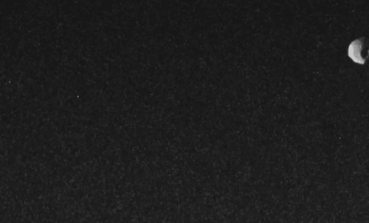 Juno Captures Thebe in Sharp Detail, Illuminating Jupiter’s Gossamer Ring