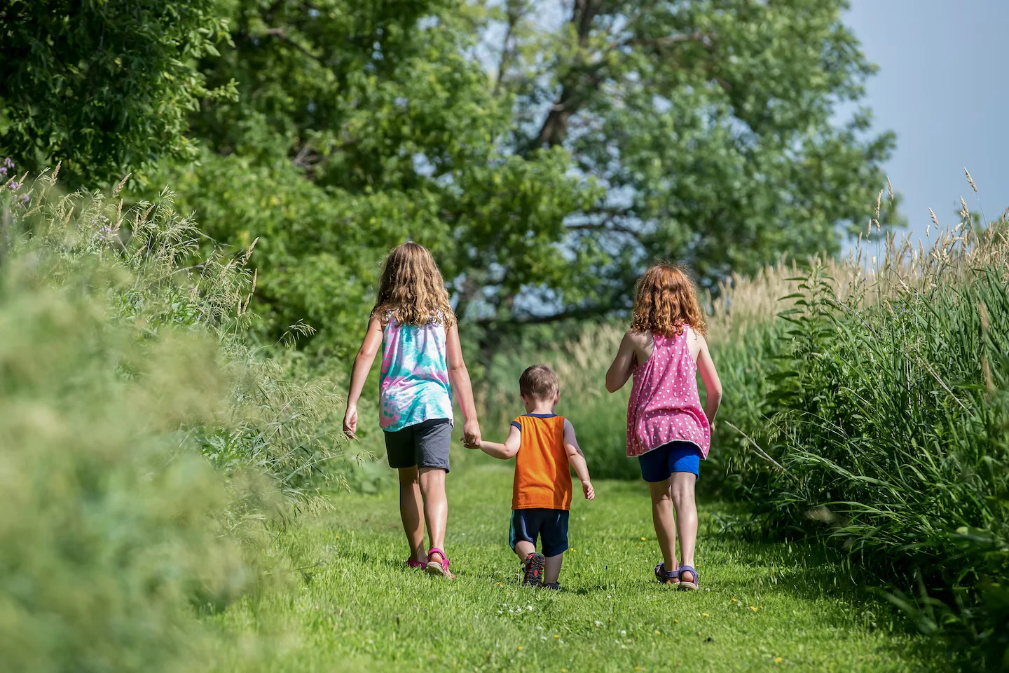The sibling effect: how birth order subtly steers kids—and what helps level the playing field