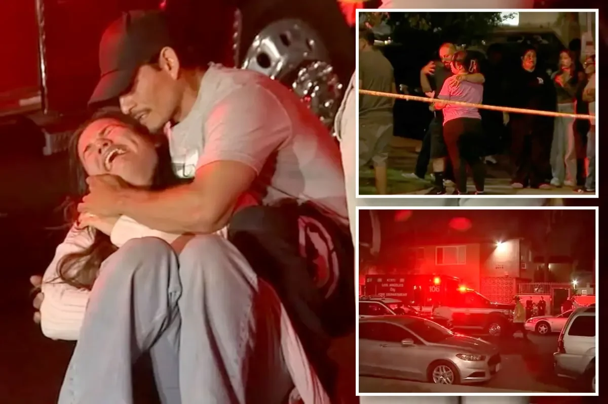Canoga Park tragedy: father kills twin sons in murder-suicide at family gathering