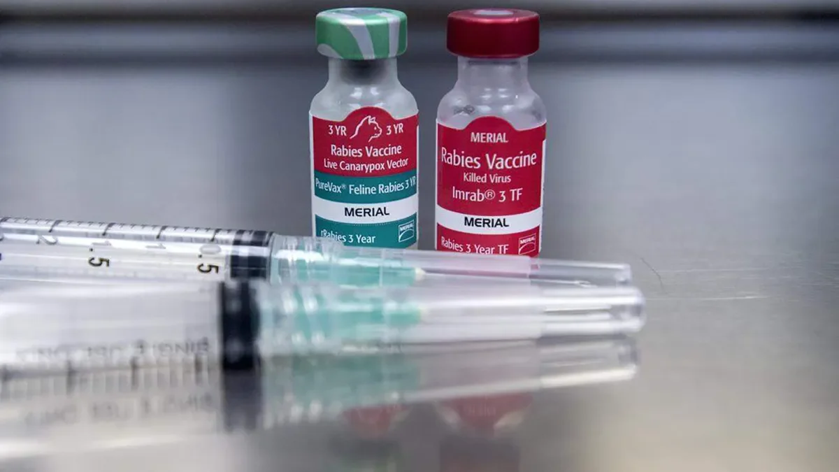 Rabies-confirmed beaver attack prompts health alert at New Jersey lake