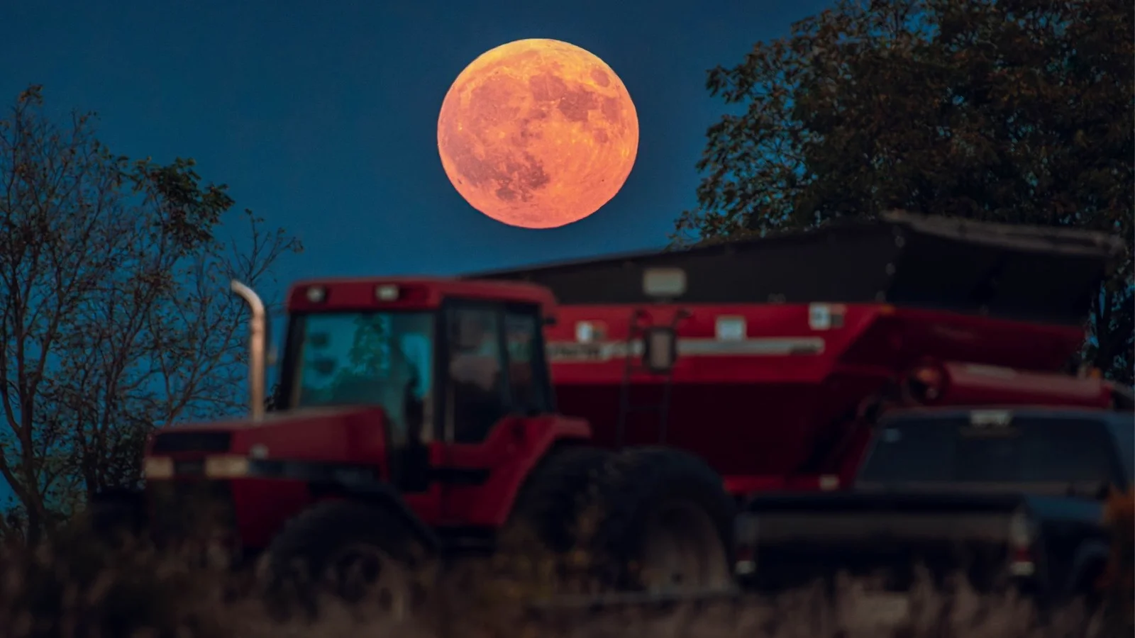 Harvest Moon 2026: September's Full Moon Guide