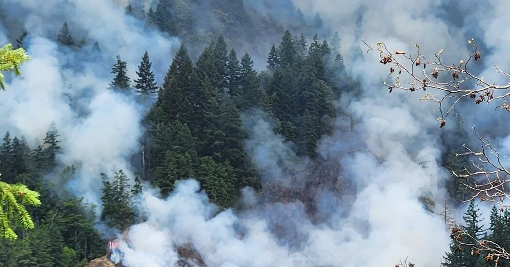 Immigration Agents Arrest Firefighters During Wildfire Response in Washington