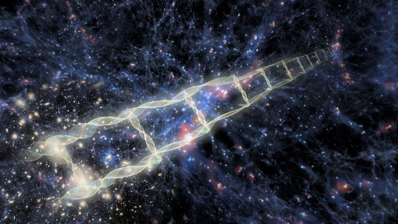 New Local Distance Network reinforces the Hubble tension, challenging standard cosmology