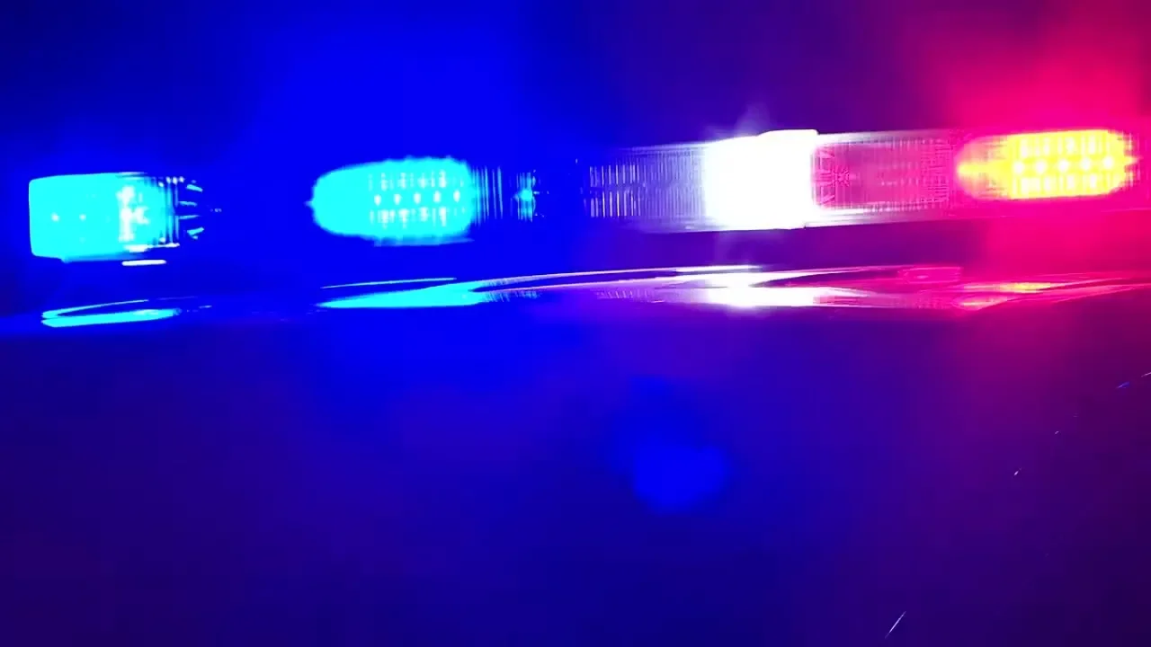 Deadly Shooting at Alabama Birthday Party Leaves Multiple Children Dead and Dozens Injured