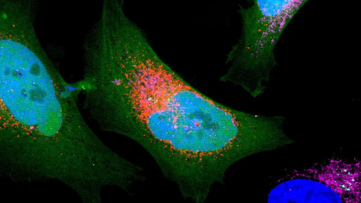 Dark Proteome Unveiled: 1,785 Tiny Proteins Emerge from Hidden Genome