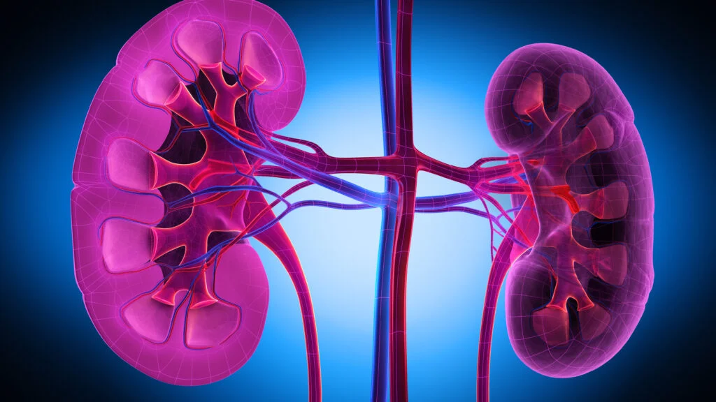 FDA approves Vera Therapeutics’ Trutakna for autoimmune kidney disease IgA nephropathy
